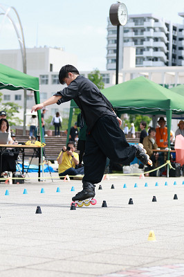 DSC01208_THUMB.JPG