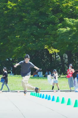 DSC06776_THUMB.JPG
